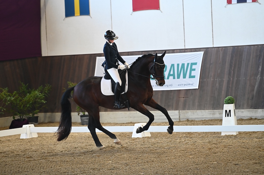 Dressur auf internationalem Turnier