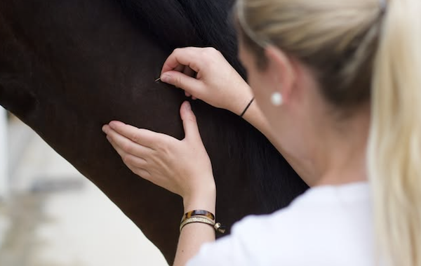 Dry Needling Behandlung