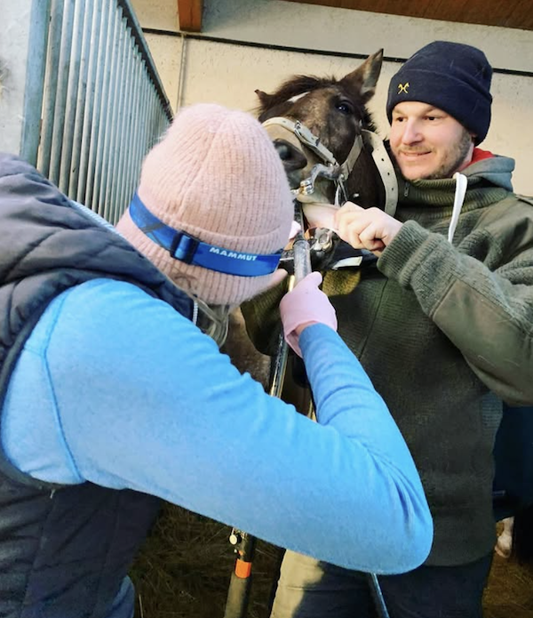 Zahnbehandlung beim Pferd
